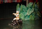 Водный театр Вьетнама